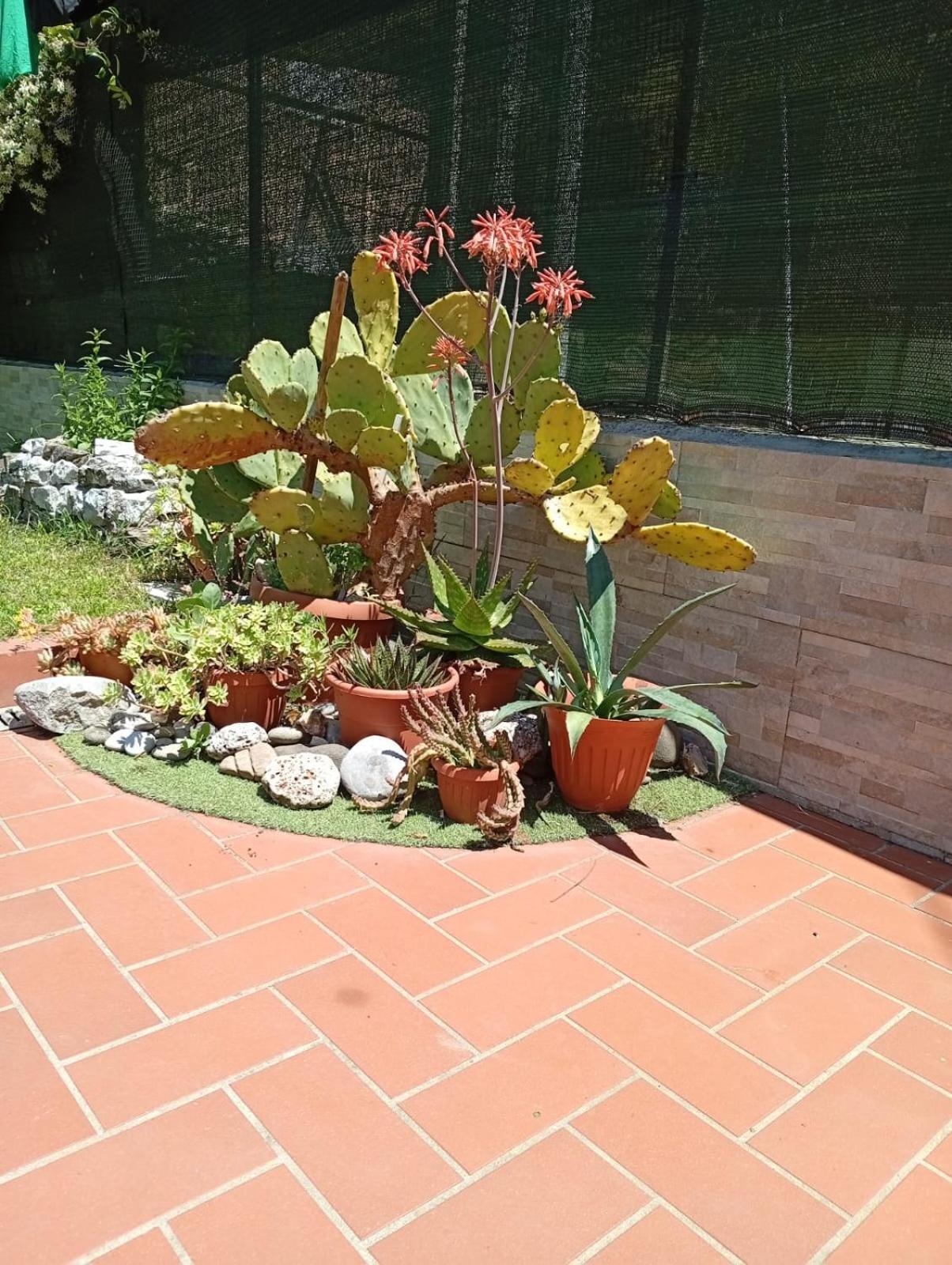 Ferienhaus Le Rose